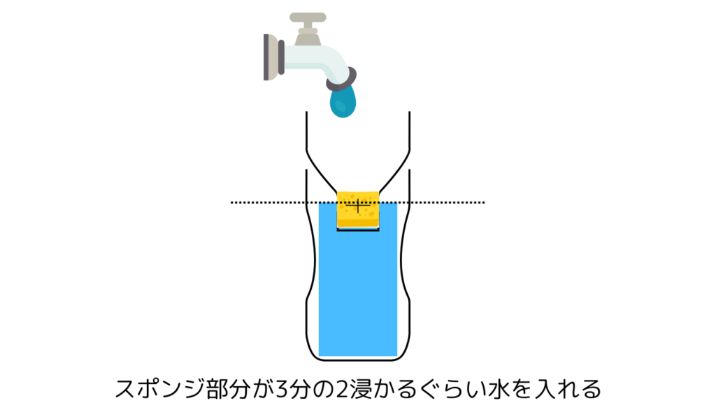 スポンジ部分が3分の2浸かるぐらい水を入れる